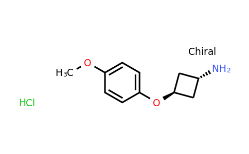 CAS 1630906-53-4 | cyclobutanamine, 3-(4-methoxyphenoxy)-, hydrochloride (1:1), trans-