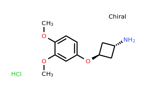 CAS 1630906-76-1 | cyclobutanamine, 3-(3,4-dimethoxyphenoxy)-, hydrochloride (1:1), trans-