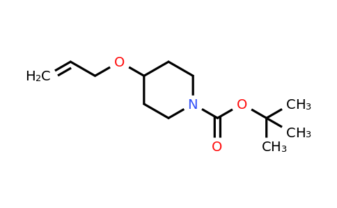 CAS 163210-43-3 | tert-Butyl 4-(allyloxy)piperidine-1-carboxylate