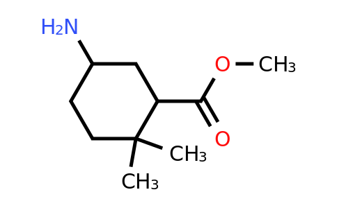 CAS 1638764-60-9 | methyl 5-amino-2,2-dimethylcyclohexane-1-carboxylate