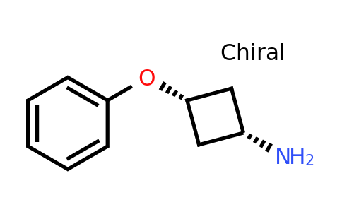 CAS 1638767-01-7 | cis-3-phenoxycyclobutan-1-amine