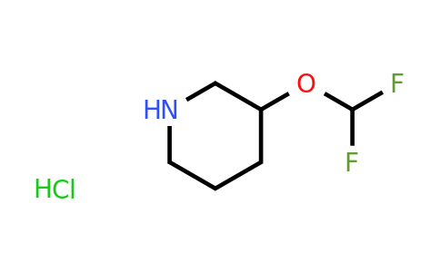 CAS 1638772-02-7 | 3-(difluoromethoxy)piperidine hydrochloride