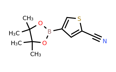 CAS 1642844-61-8 | 4-(4,4,5,5-Tetramethyl-1,3,2-dioxaborolan-2-YL)thiophene-2-carbonitrile