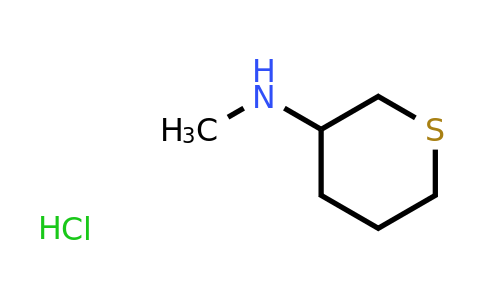 CAS 1645462-88-9 | N-methylthian-3-amine hydrochloride