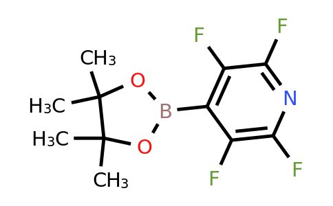 CAS 1646873-22-4 | 2,3,5,6-Tetrafluoro-4-(4,4,5,5-tetramethyl-1,3,2-dioxaborolan-2-YL)pyridine