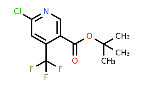 CAS 1649470-18-7 | tert-Butyl 6-chloro-4-(trifluoromethyl)nicotinate