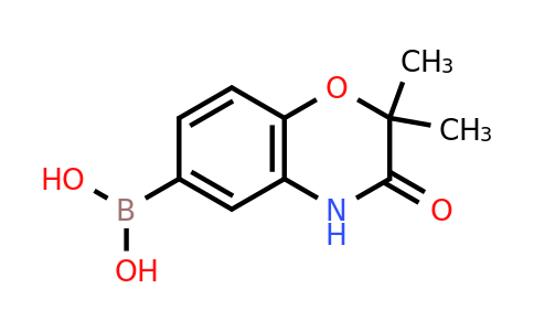 CAS 1650548-32-5 | 2,2-dimethyl-3-oxo-3,4-dihydro-2H-benzo[b][1,4]oxazine-6-boronic acid