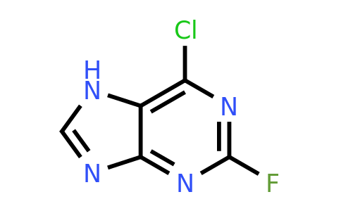 CAS 1651-29-2 | 6-Chloro-2-fluoropurine