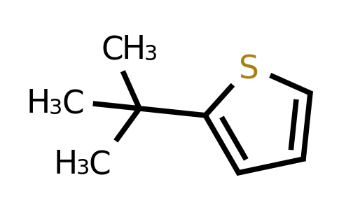 CAS 1689-78-7 | 2-(tert-Butyl)thiophene
