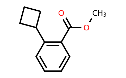 CAS 1690919-45-9 | methyl 2-cyclobutylbenzoate