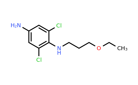 CAS 1692140-34-3 | 2,6-Dichloro-N1-(3-ethoxypropyl)benzene-1,4-diamine