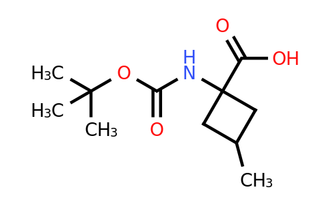 CAS 1692589-40-4 | 1-(tert-butoxycarbonylamino)-3-methyl-cyclobutanecarboxylic acid