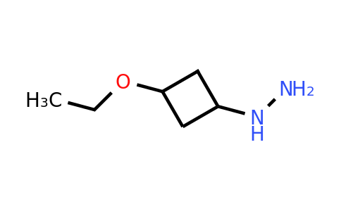 CAS 1694271-35-6 | (3‐ethoxycyclobutyl)hydrazine