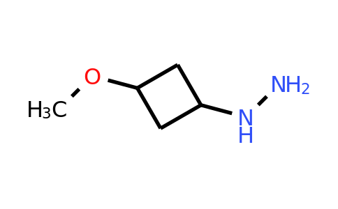CAS 1694809-02-3 | (3‐methoxycyclobutyl)hydrazine