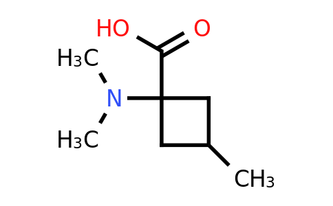 CAS 1696611-70-7 | 1-(dimethylamino)-3-methyl-cyclobutanecarboxylic acid