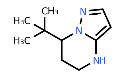 CAS 1698408-65-9 | 7-tert-butyl-4H,5H,6H,7H-pyrazolo[1,5-a]pyrimidine