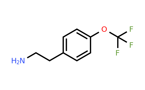 CAS 170015-99-3 | 2-(4-(Trifluoromethoxy)phenyl)ethanamine