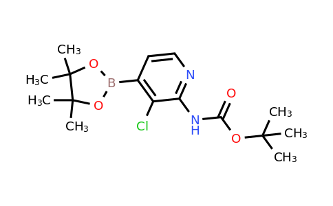 CAS 1704065-37-1 | tert-butyl (3-chloro-4-(4,4,5,5-tetramethyl-1,3,2-dioxaborolan-2-yl)pyridin-2-yl)carbamate