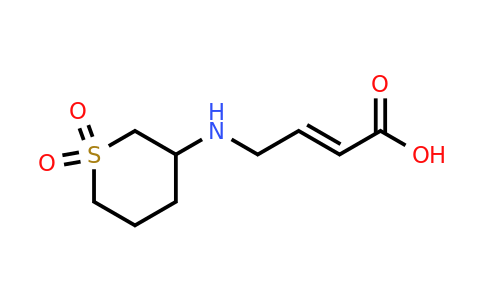 CAS 1704355-50-9 | 4-[(1,1-dioxothian-3-yl)amino]but-2-enoic acid