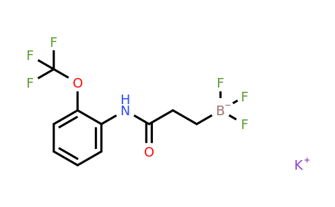 CAS 1705578-34-2 | potassium trifluoro(3-oxo-3-((2-(trifluoromethoxy)phenyl)amino)propyl)borate