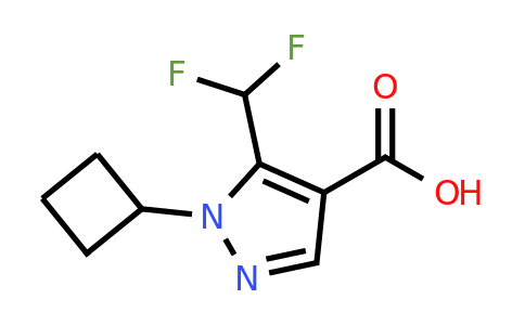 CAS 1707393-79-0 | 1-Cyclobutyl-5-(difluoromethyl)-1H-pyrazole-4-carboxylic acid