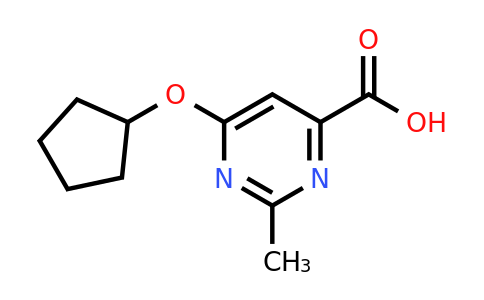 CAS 1708199-19-2 | 6-(Cyclopentyloxy)-2-methylpyrimidine-4-carboxylic acid
