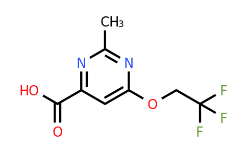 CAS 1710695-95-6 | 2-Methyl-6-(2,2,2-trifluoroethoxy)pyrimidine-4-carboxylic acid