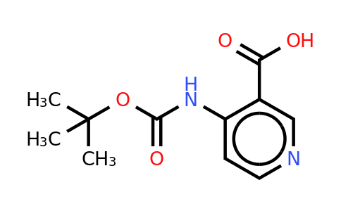 CAS 171178-34-0 | 4-BOC-Aminonicotinic acid