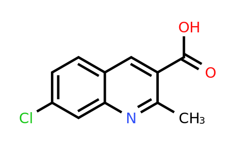 CAS 171270-39-6 | 7-Chloro-2-methyl-quinoline-3-carboxylic acid
