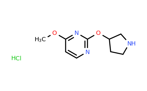 CAS 1713160-82-7 | 4-Methoxy-2-(pyrrolidin-3-yloxy)pyrimidine hydrochloride