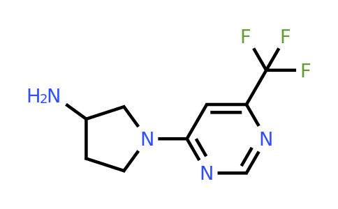 CAS 1713462-58-8 | 1-(6-(Trifluoromethyl)pyrimidin-4-yl)pyrrolidin-3-amine