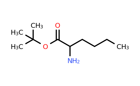 CAS 17389-04-7 | tert-butyl 2-aminohexanoate