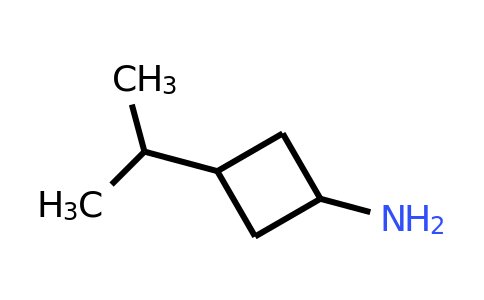 CAS 17393-33-8 | 3-(propan-2-yl)cyclobutan-1-amine