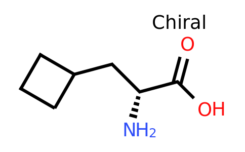 CAS 174266-00-3 | (R)-3-Cyclobutylalanine