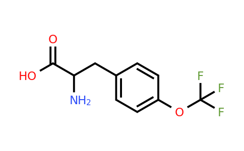 CAS 174732-57-1 | 2-Amino-3-(4-trifluoromethoxy-phenyl)-propionic acid