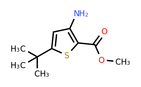 CAS 175137-03-8 | methyl 3-amino-5-tert-butylthiophene-2-carboxylate