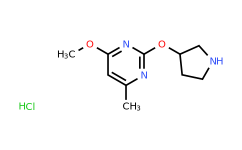 CAS 1774899-15-8 | 4-Methoxy-6-methyl-2-(pyrrolidin-3-yloxy)pyrimidine hydrochloride
