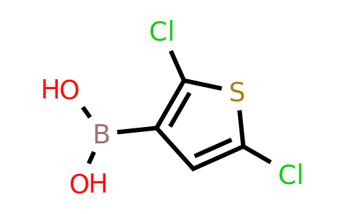 CAS 177735-28-3 | 2,5-Dichlorothiophene-3-boronic acid