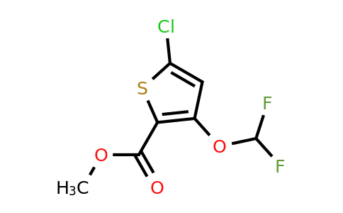 CAS 1779122-92-7 | Methyl 5-chloro-3-(difluoromethoxy)thiophene-2-carboxylate
