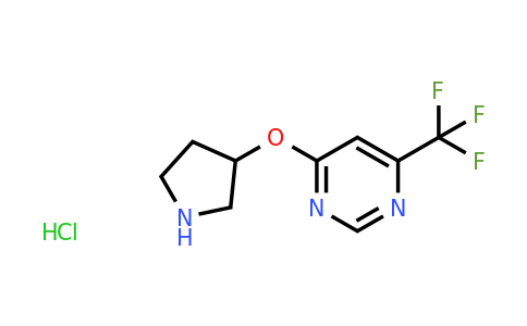 CAS 1779128-39-0 | 4-(Pyrrolidin-3-yloxy)-6-(trifluoromethyl)pyrimidine hydrochloride