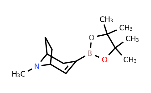 CAS 1779539-89-7 | 8-methyl-3-(4,4,5,5-tetramethyl-1,3,2-dioxaborolan-2-yl)-8-azabicyclo[3.2.1]oct-2-ene
