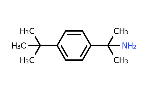 CAS 17797-09-0 | 2-(4-tert-butylphenyl)propan-2-amine