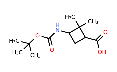 CAS 1779745-51-5 | 3-(tert-butoxycarbonylamino)-2,2-dimethyl-cyclobutanecarboxylic acid