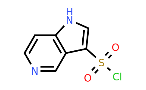 CAS 1781898-40-5 | 1H-pyrrolo[3,2-c]pyridine-3-sulfonyl chloride