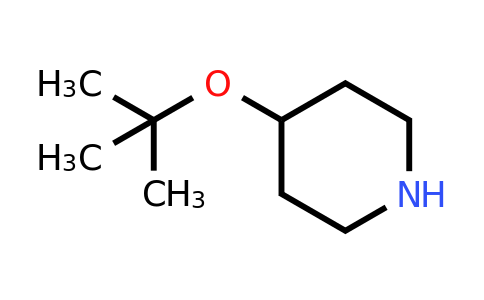 CAS 178312-67-9 | 4-(tert-butoxy)piperidine