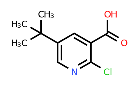 CAS 1784306-92-8 | 5-tert-butyl-2-chloropyridine-3-carboxylic acid