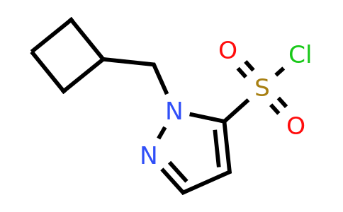 CAS 1785243-74-4 | 1-(Cyclobutylmethyl)-1H-pyrazole-5-sulfonyl chloride
