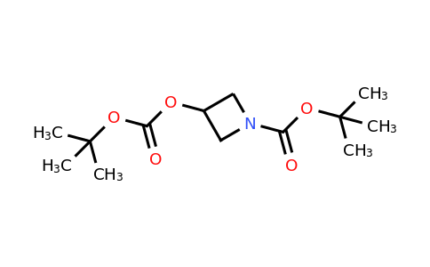CAS 1785763-73-6 | tert-Butyl 3-((tert-butoxycarbonyl)oxy)azetidine-1-carboxylate