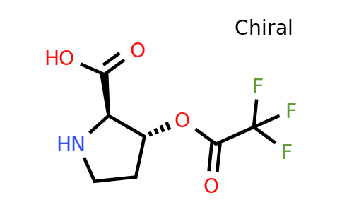 CAS 1788054-78-3 | (2R,3R)-rel-3-(2,2,2-Trifluoroacetoxy)pyrrolidine-2-carboxylic acid