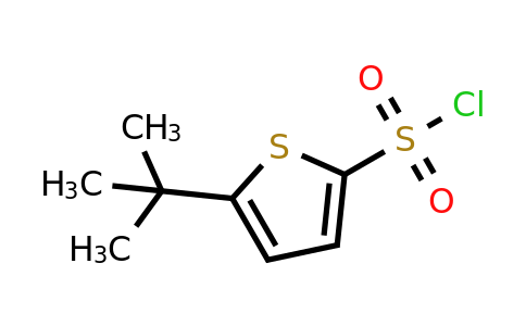 CAS 179400-17-0 | 5-tert-butylthiophene-2-sulfonyl chloride
